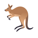 kangaroo_128