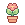 potted_flower