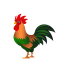 rooster_64