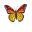 butterfly_32