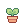 potted_sprout